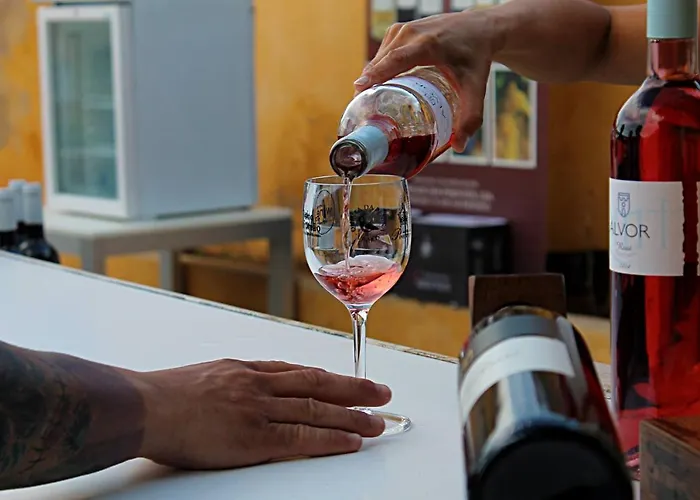 Apartment Squash Rocha